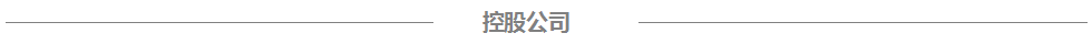 U8国际电气控股公司